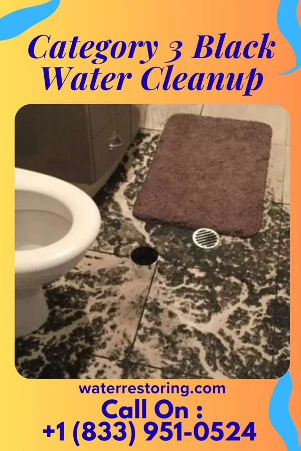 Category 3 Black Water Cleanup in Butler, MO