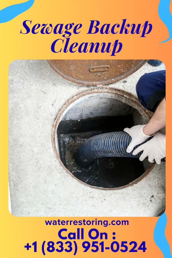 Sewage Backup Cleanup in Butler, MO